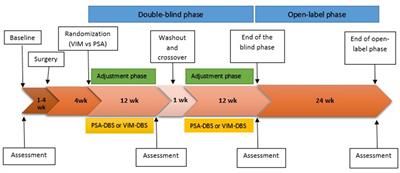 Neuropsychological assessment protocol in an ongoing randomized controlled trial on posterior subthalamic area vs. ventral intermediate nucleus deep brain stimulation for essential tremor